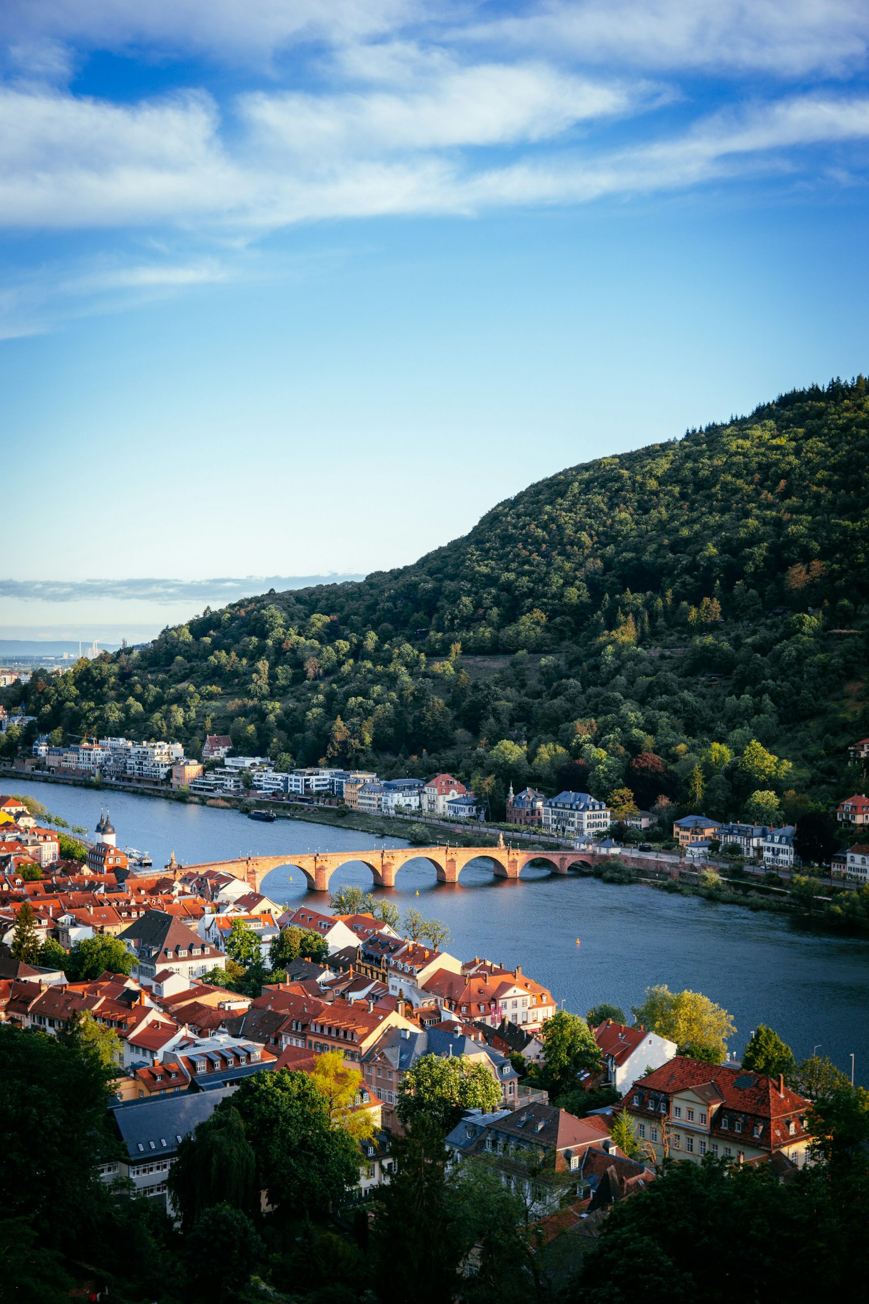 Heidelberg am Neckar von Tobias Reich